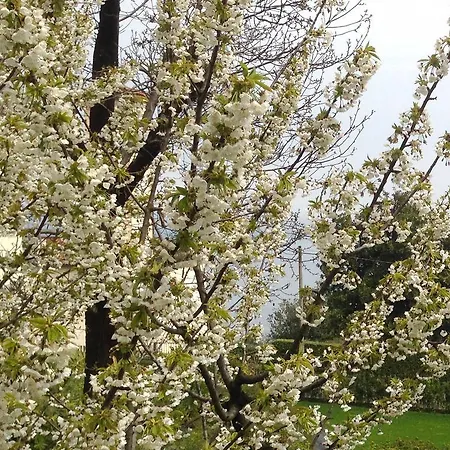 아파트 Rubino Con Giardino E Jacuzzi Vista *