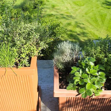 아파트 Rubino Con Giardino E Jacuzzi Vista 스트레사