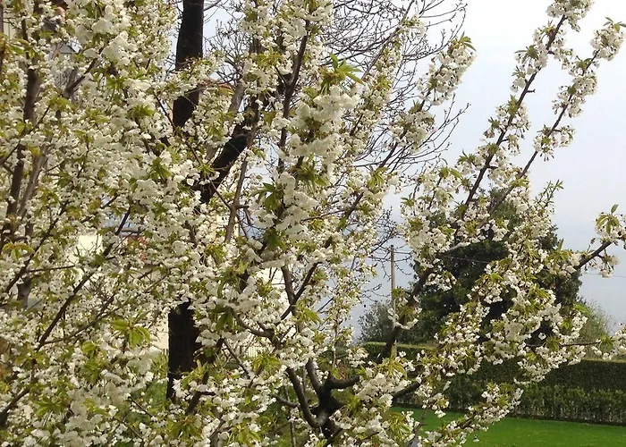 Διαμέρισμα Rubino Con Giardino E Jacuzzi Vista *
