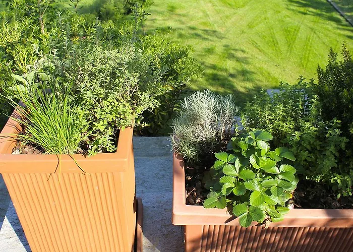 公寓 Rubino Con Giardino E Jacuzzi Vista 斯特雷萨